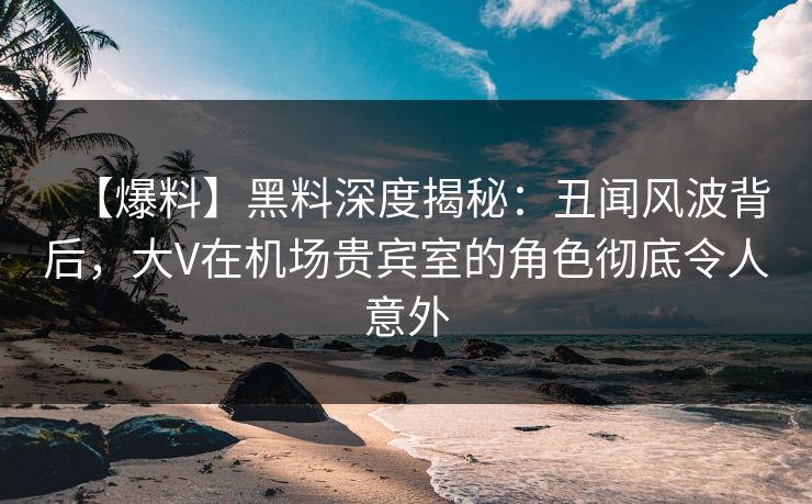 【爆料】黑料深度揭秘：丑闻风波背后，大V在机场贵宾室的角色彻底令人意外