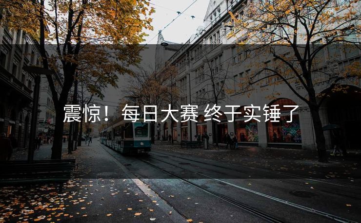 震惊！每日大赛 终于实锤了