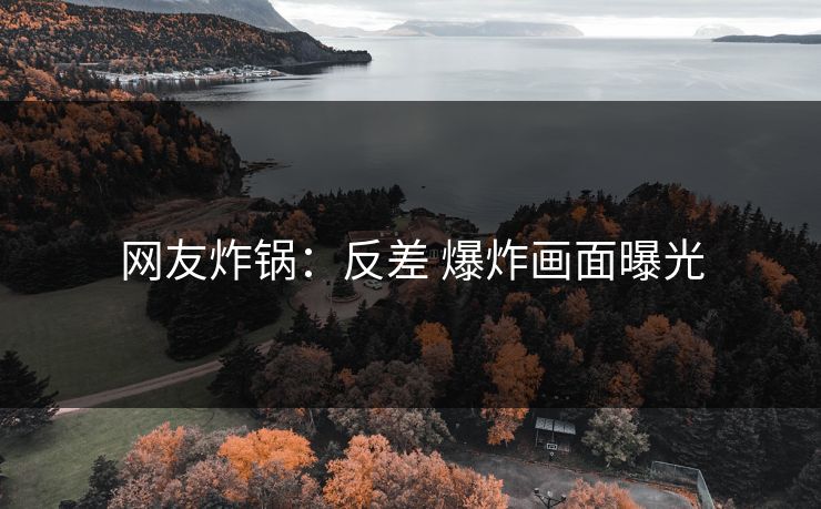 网友炸锅：反差 爆炸画面曝光