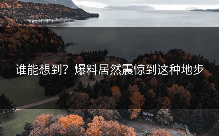 谁能想到？爆料居然震惊到这种地步
