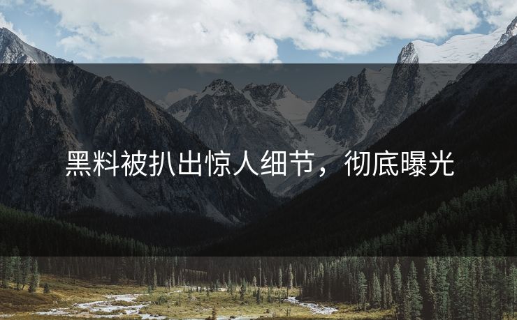 黑料被扒出惊人细节，彻底曝光