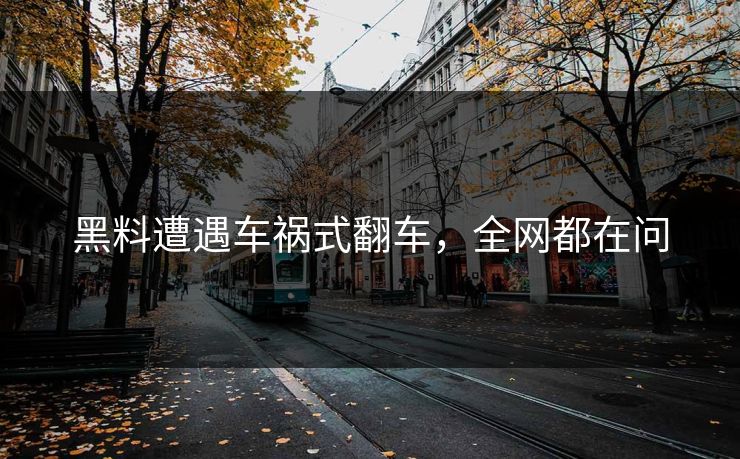 黑料遭遇车祸式翻车，全网都在问