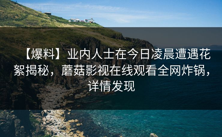 【爆料】业内人士在今日凌晨遭遇花絮揭秘，蘑菇影视在线观看全网炸锅，详情发现