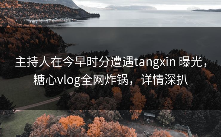 主持人在今早时分遭遇tangxin 曝光，糖心vlog全网炸锅，详情深扒